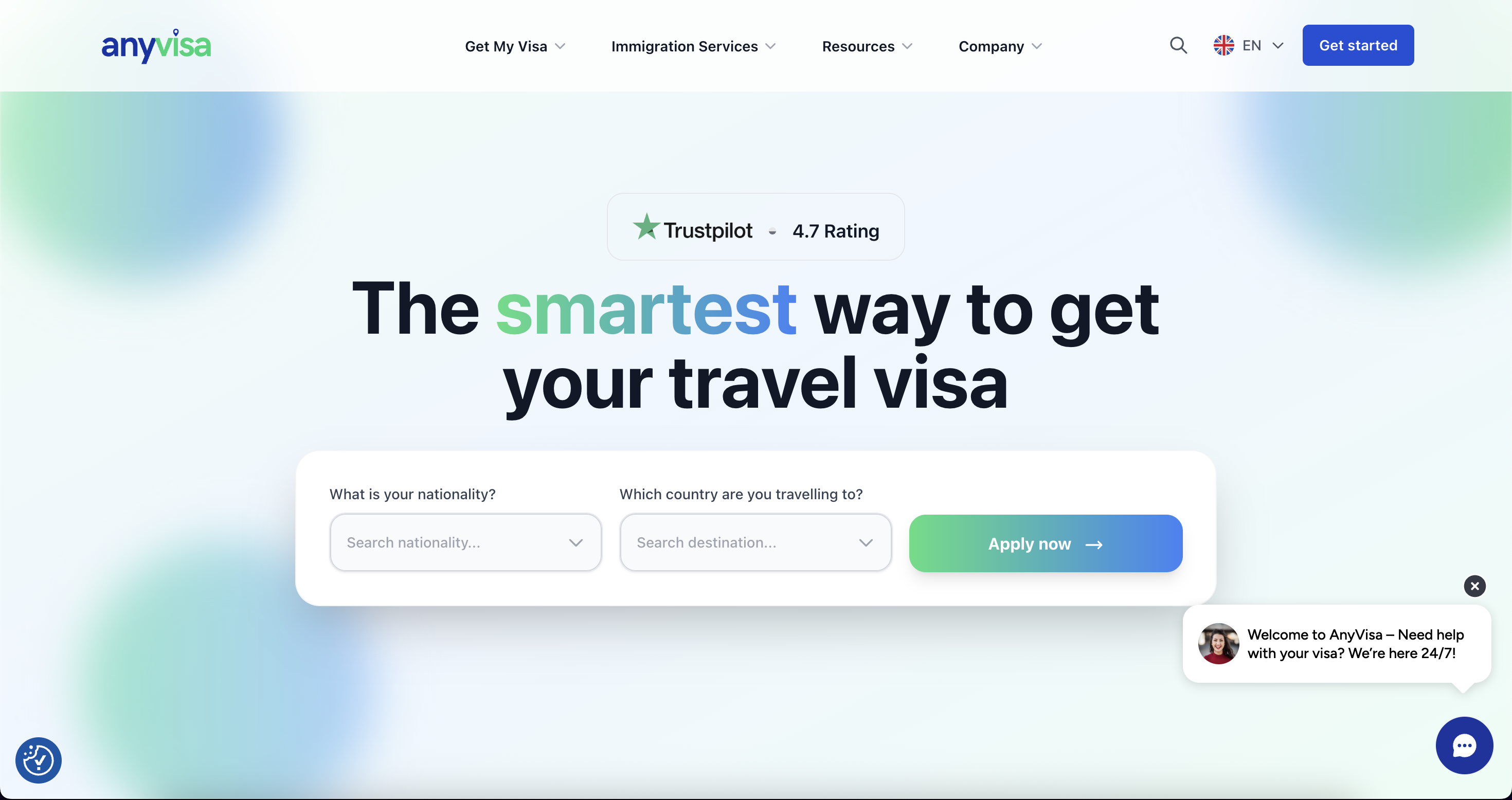 Anyvisa platform screenshot